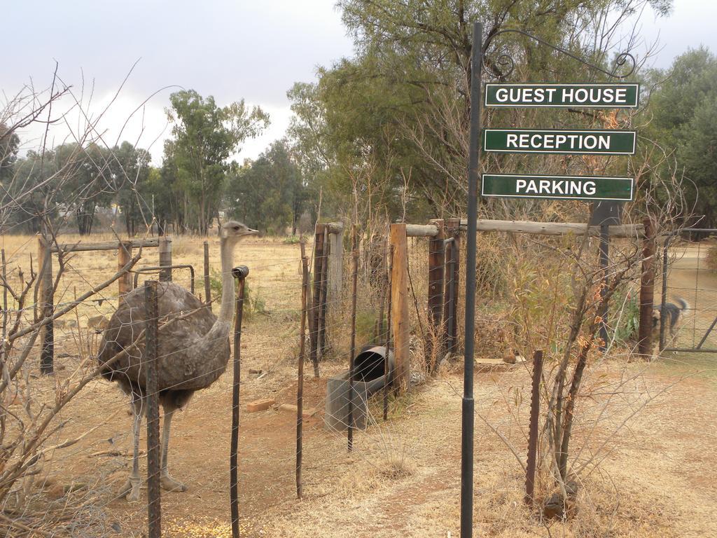 Olive Hill Country Lodge Bloemfontein Bagian luar foto