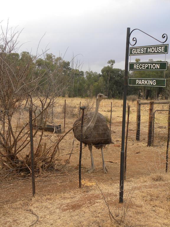 Olive Hill Country Lodge Bloemfontein Bagian luar foto